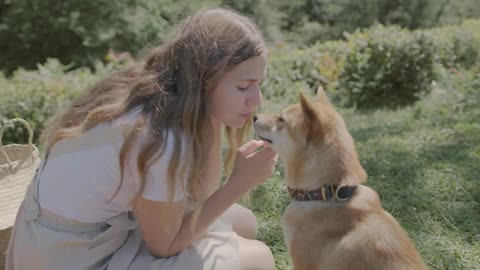 Puppies kissing girl