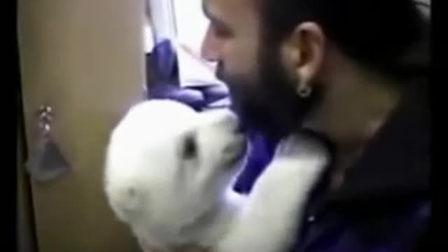 Funny animals! cute polar bear baby