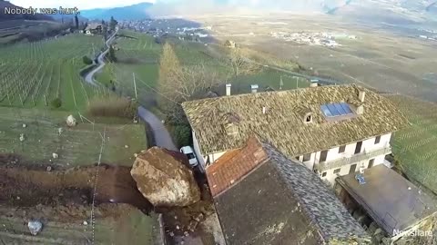 Craziest Nature Videos of the Decade