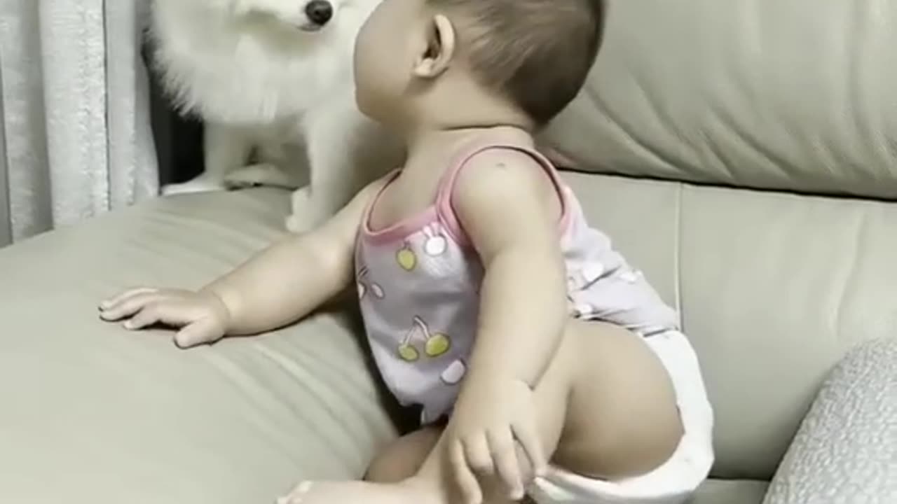 Funny baby dog || cutest dog's 2023 #500k #dogvideos #cutedog #cuteanimals