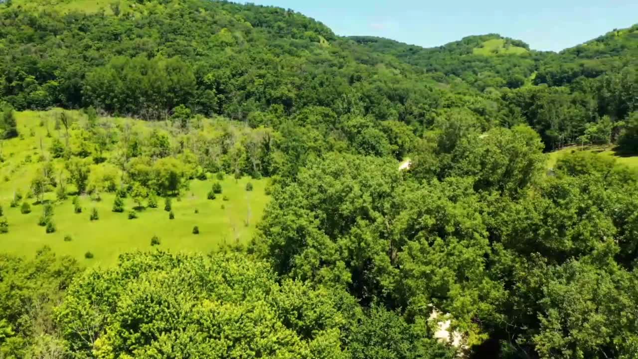 Relaxing music/calming music