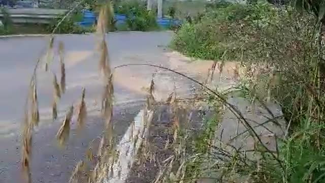 A comfortable country road