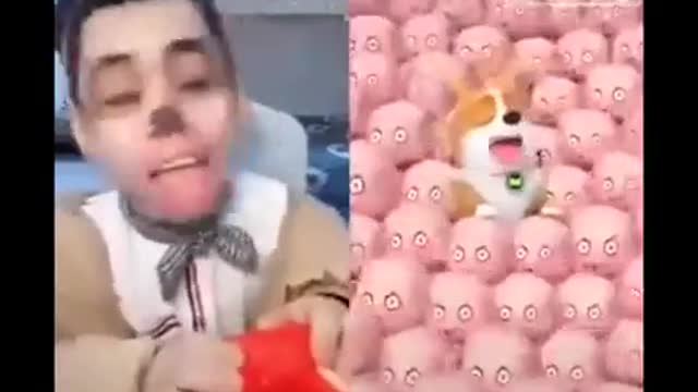 Funniest ever man ability funny