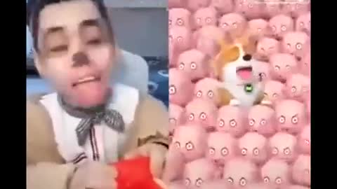 Funniest ever man ability funny
