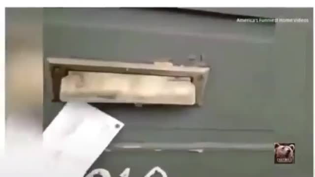 Mailman has a hard time delivering his mail 😂