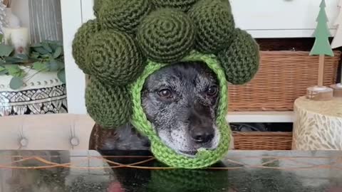 He likes to eat healthy food
