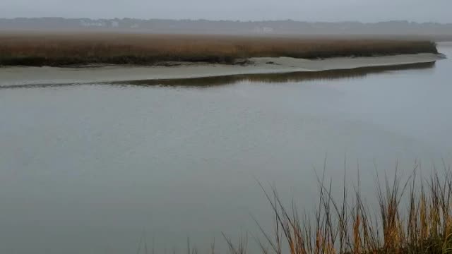 Coastal Ocean Isle