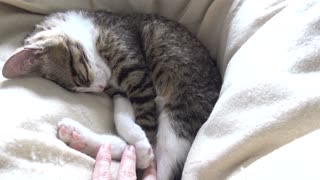 Can U Sleep Twisted Like This