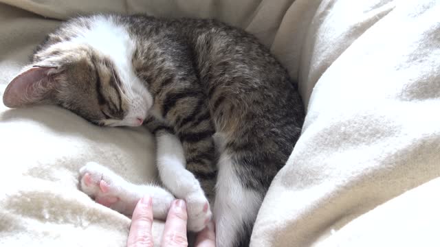 Can U Sleep Twisted Like This
