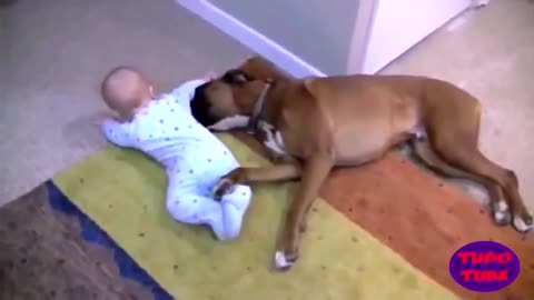 Adorable Babies Playing With Dogs and Cats Funny Babies Compilation 2021