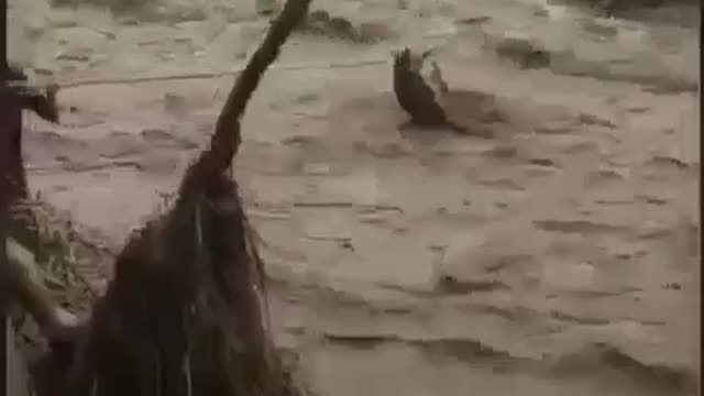 Flood in Pakistan