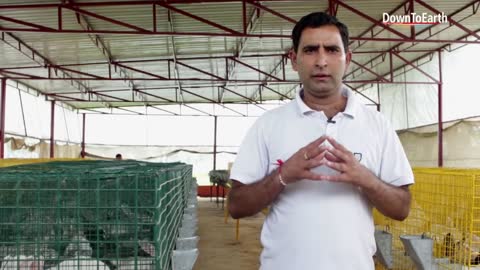 Rabbit farm is emerging but a Profitable business