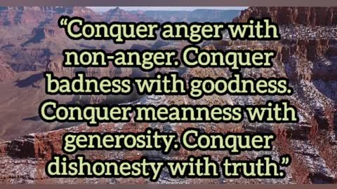 Life Quotes