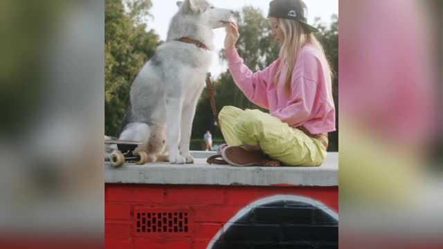 Happiest Dog playing with owner