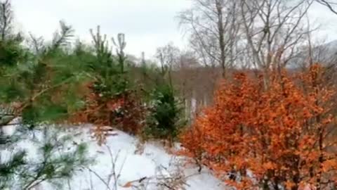 Relaxing Music | Sleeping, Meditation, Stress Relief | [1652] ⭐️