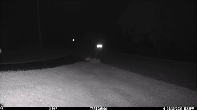 Three new bucks