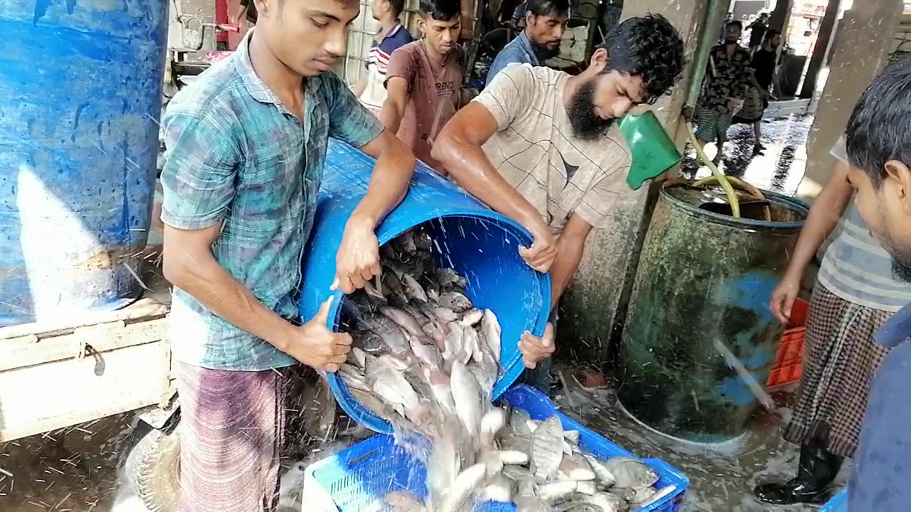 Fresh Fish at local market