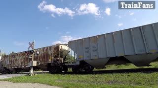 CN 2586, CN 5600 & CN 5772 Engines Manifest Train At Eastbound In Ontario