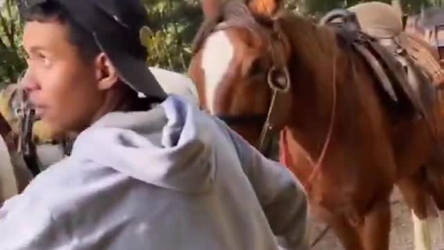 Emily Garcia Fez Passeio a Cavalo Com Babal 🤣