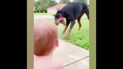 Baby Showers Dog