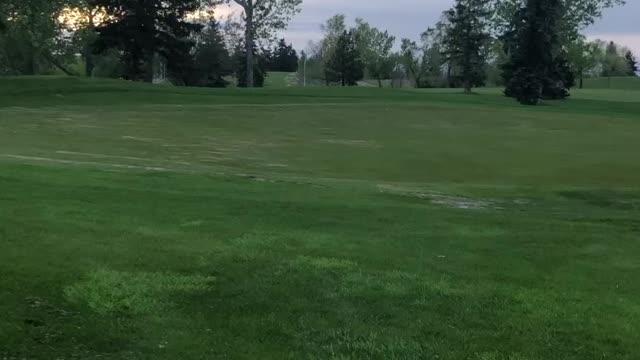 دردشه طبيه من طبيبه فى ادمونتون 1