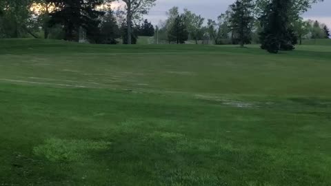 دردشه طبيه من طبيبه فى ادمونتون 1