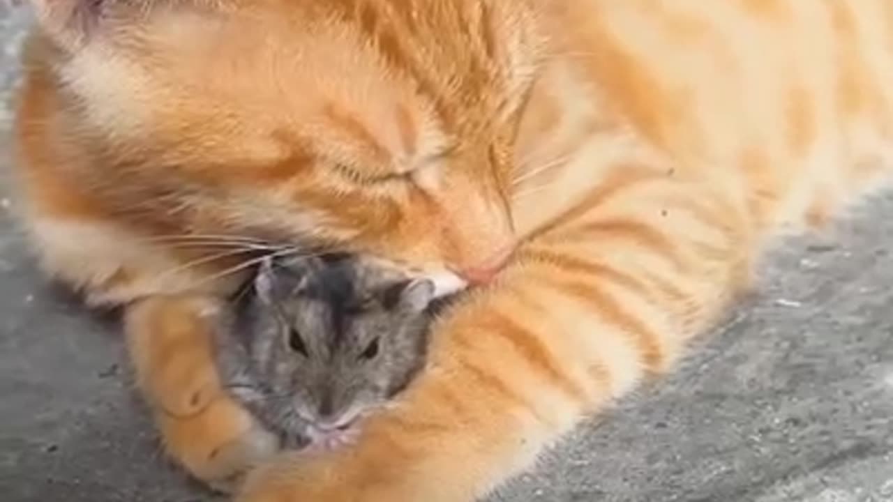 Reminds me of an ex GF when she was angry with me