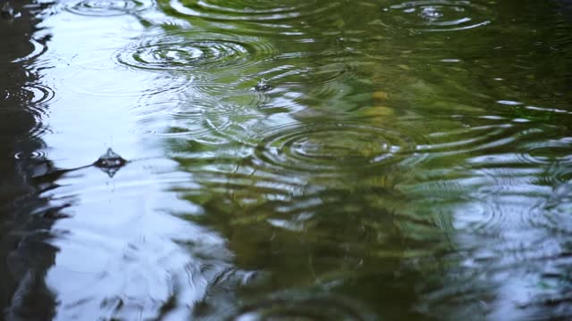 Rain falling on the water of a lake seen up close