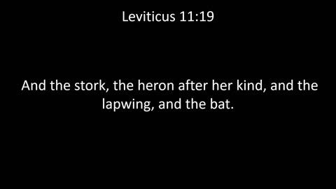 KJV Bible Leviticus Chapter 11