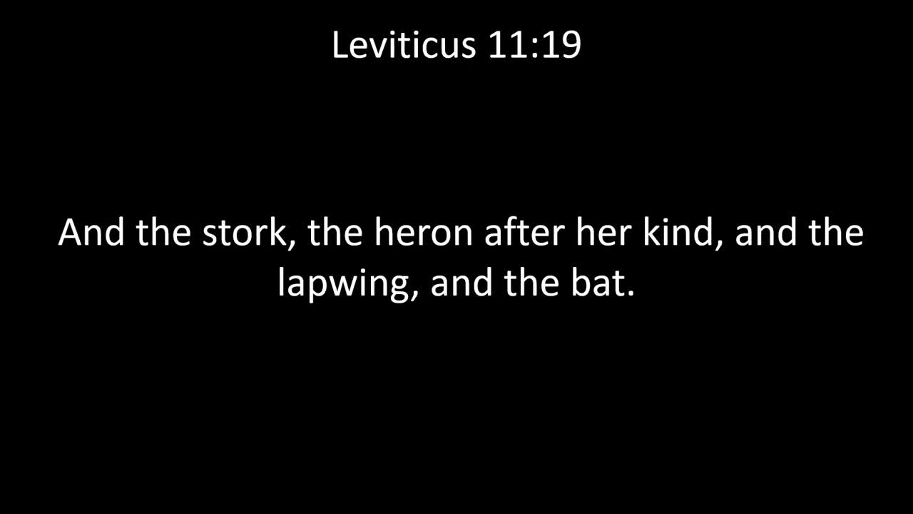 KJV Bible Leviticus Chapter 11