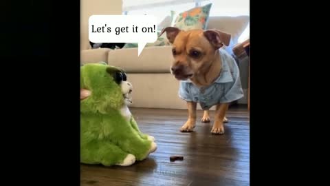 Cute Dog VS Cute Alien!