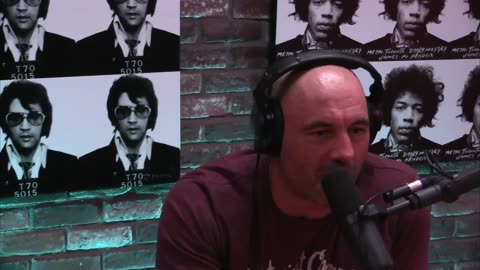 Joe Rogan Experience #717 - Steve-O