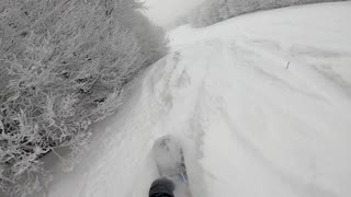 Shred Day in Vigla Pisoderi