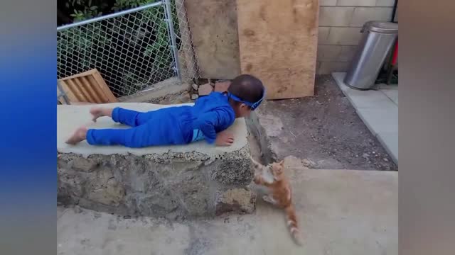 Cats are loving and caring