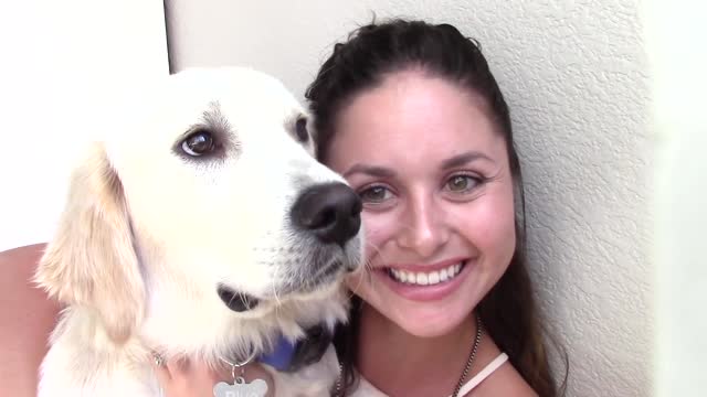 How to care for your dogs as a nurse/nursing student