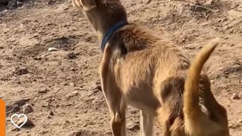 You can't stop laughing !!!