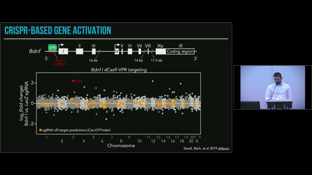 CRISPR Tools for Gene Editing in the Brain