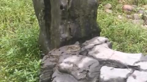 rockery