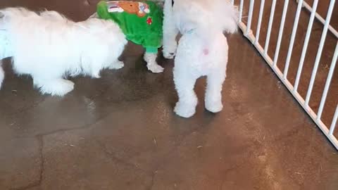 [mong gu♥] The older brothers are scared...