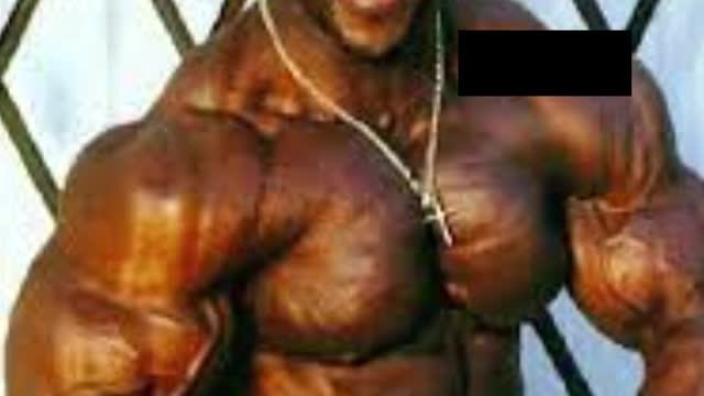 Bertil Fox bodybuilder