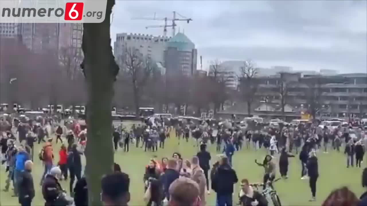 I primi effetti della dittatura in Olanda