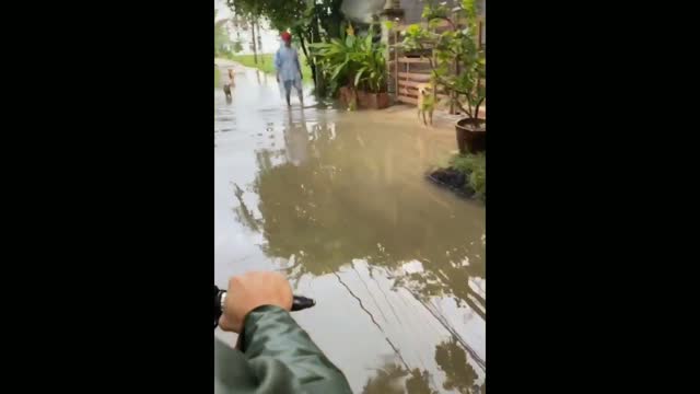 What do foreigners do when they meet a big storm in Vietnam?