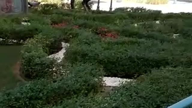park nice video 2022 ka