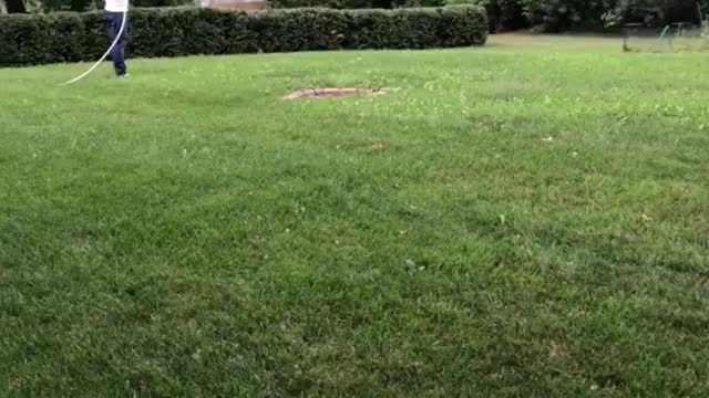 Guy watering garden from a mile away