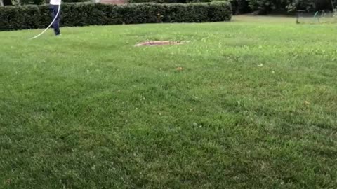 Guy watering garden from a mile away