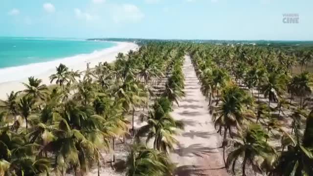 brazilian beaches !