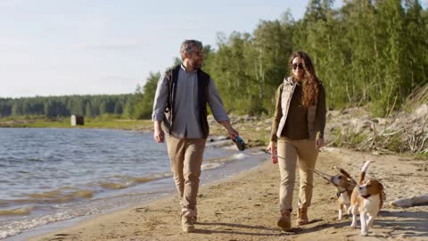 Happy tourist couple smiling and chatting while walking with cute beagle dogs towards the camera