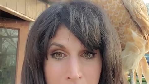 Ark of Grace::GET READY TO LAUGH! THIS CHICK THINKS I'M AN UBER!!