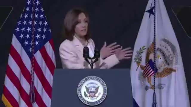 Kamala Harris: "For the assault weapon, the design is to kill a lot of human beings quickly."