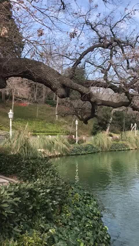 Beşiktaş, İstanbul